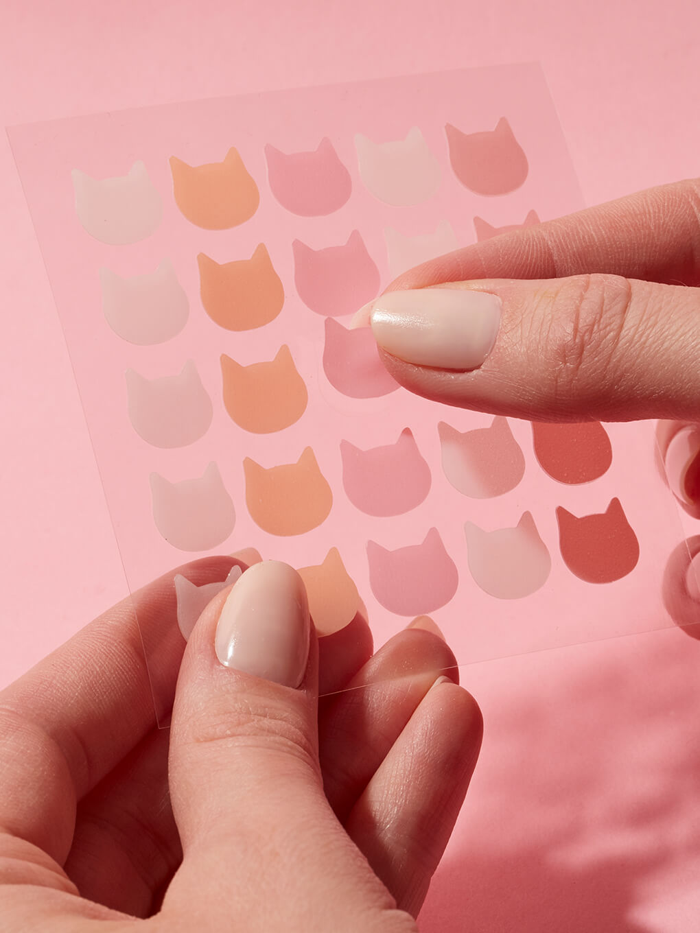 hand holding sheet of cat shaped pimple patches on pink background hand holding sheet of cat shaped pimple patches on pink background