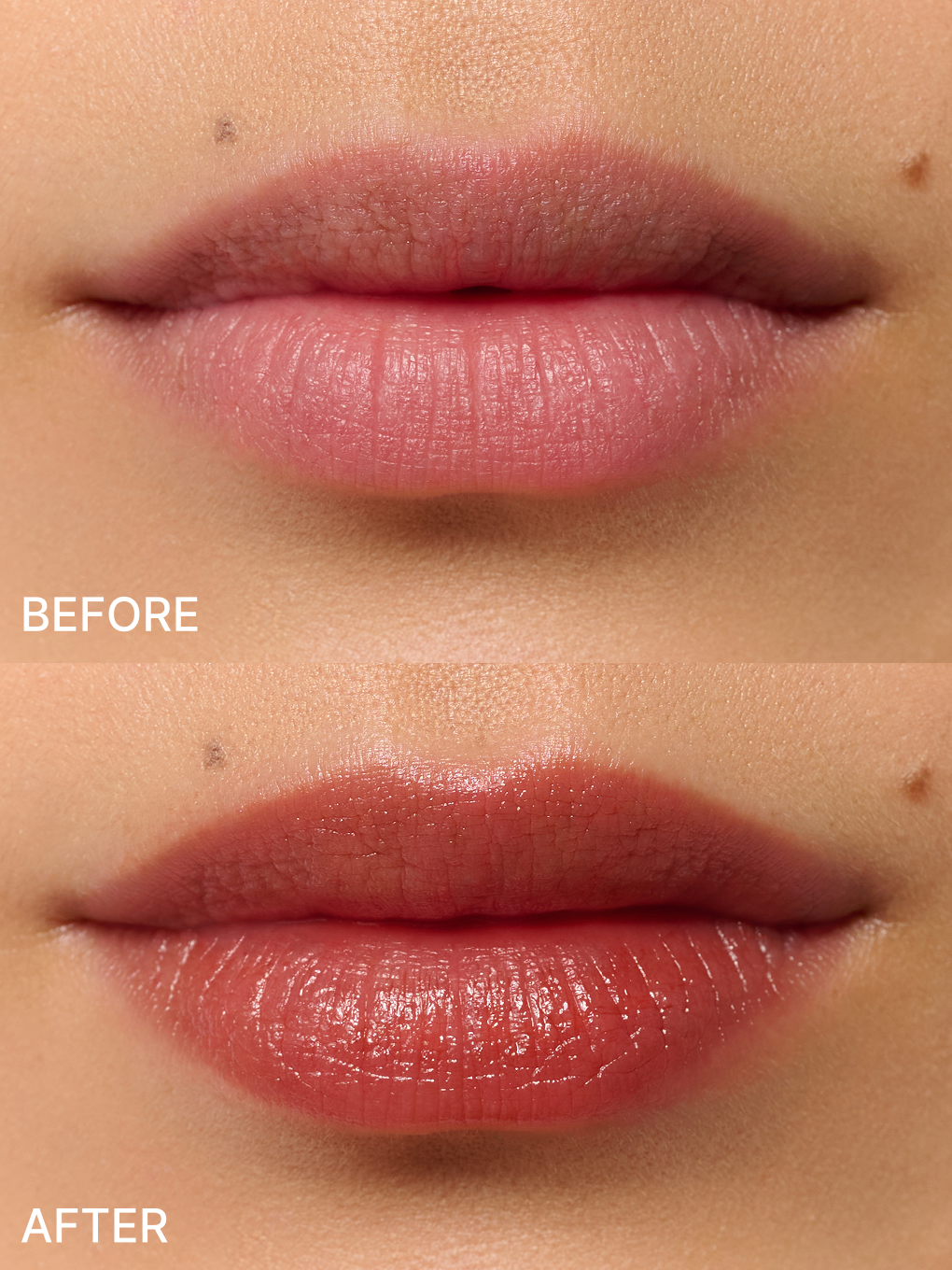 amalfi -- brewtiful trio