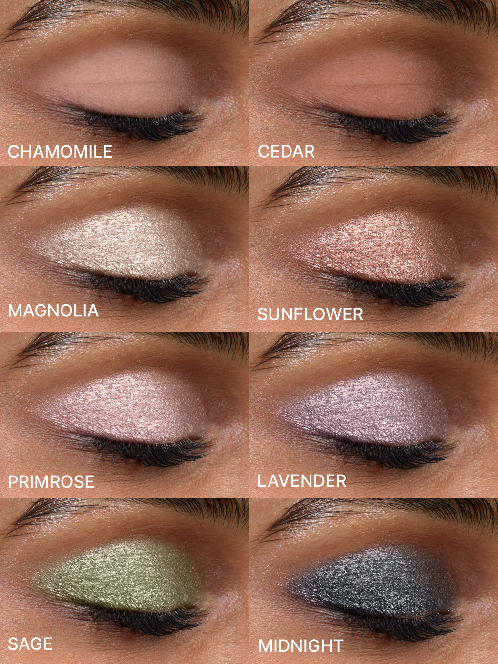 Chamomile Matte -- Rose Petal Liquid Eyeshadow