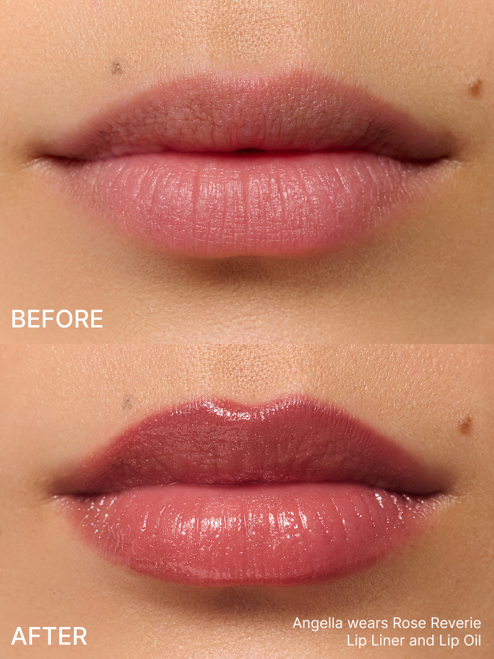 rose reverie -- model b&a