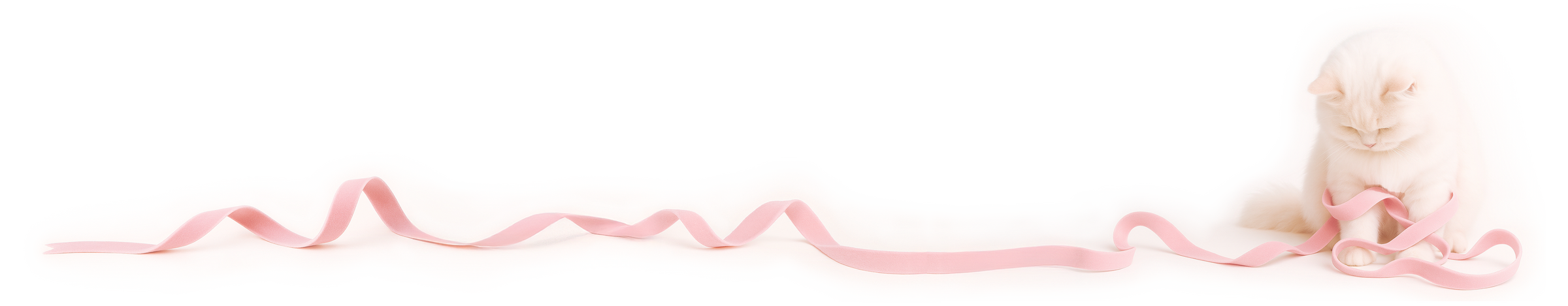 Winky Lux Background Mobile Image - Wrapped in Winks