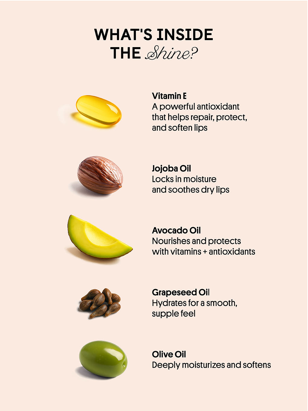 birthday cake shimmer -- overview of key ingredients in nourishing lip oils with pictures