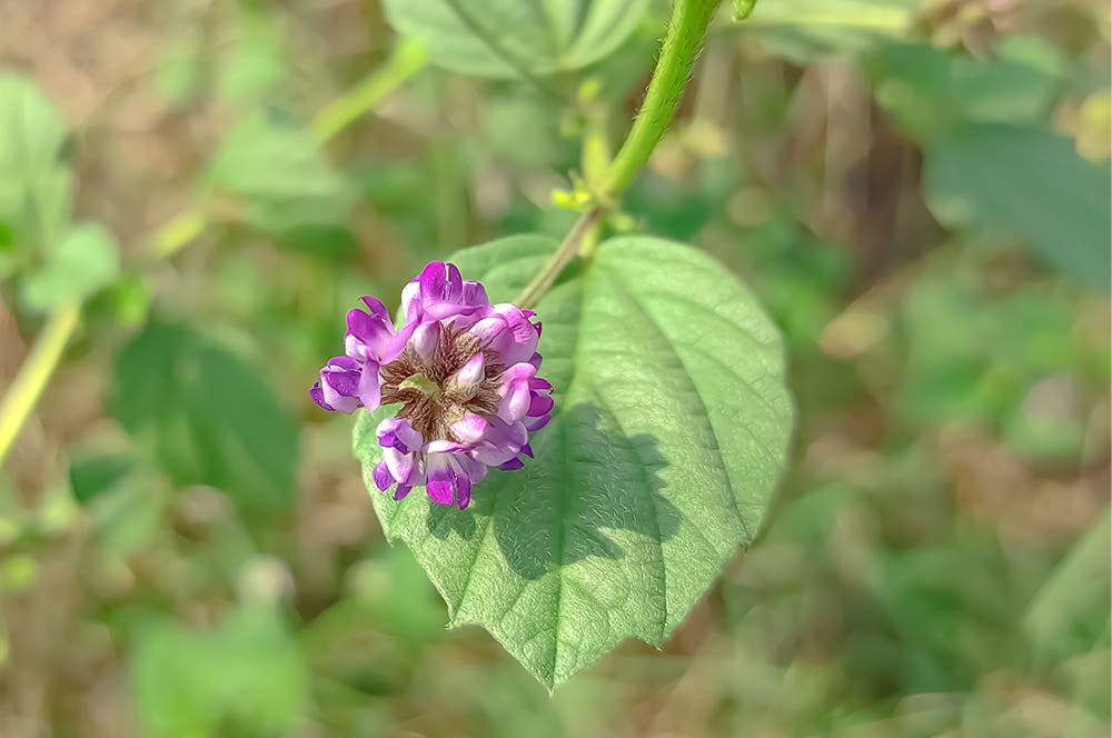 Block Image